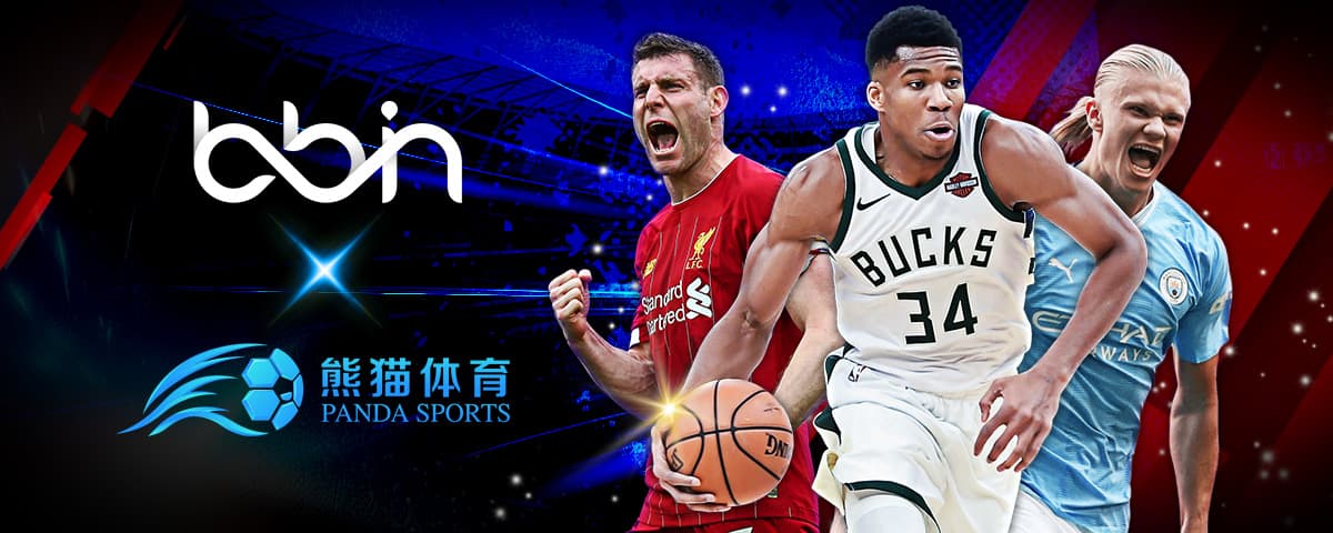 级明星级别